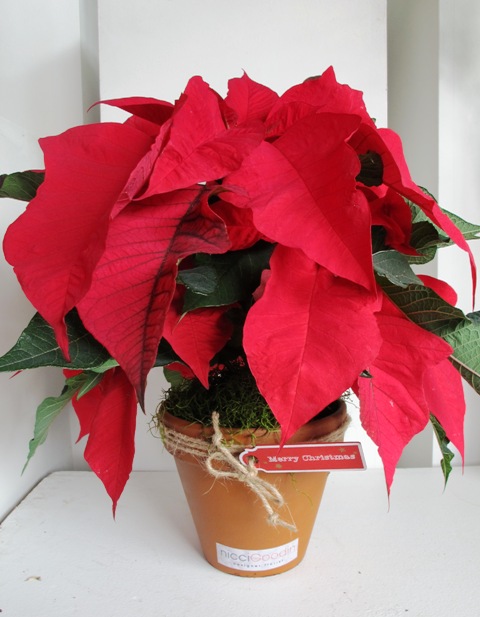 ???????????????????????????????