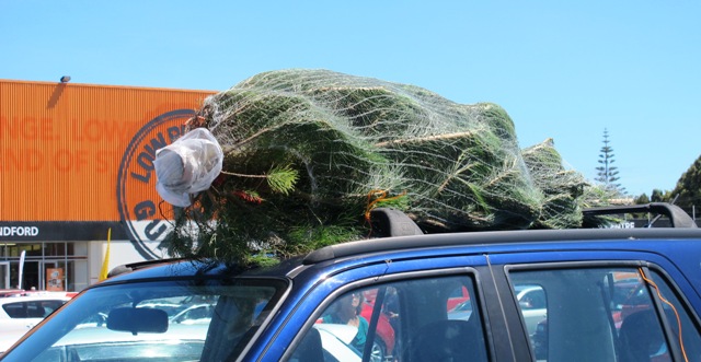 A southern Christmas – the pine tree on the SUV roof against a background of blue summer skies and orange Mitre 10.