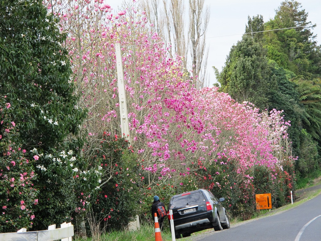 ???????????????????????????????