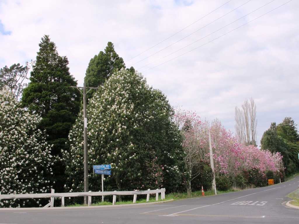 ???????????????????????????????