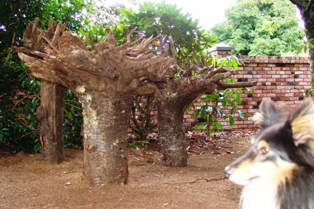 ???????????????????????????????