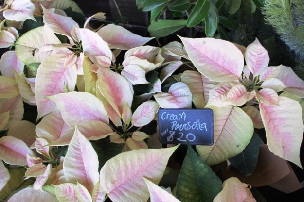 ???????????????????????????????