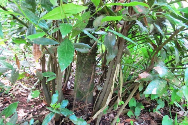 ???????????????????????????????