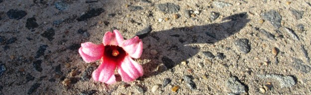 ???????????????????????????????