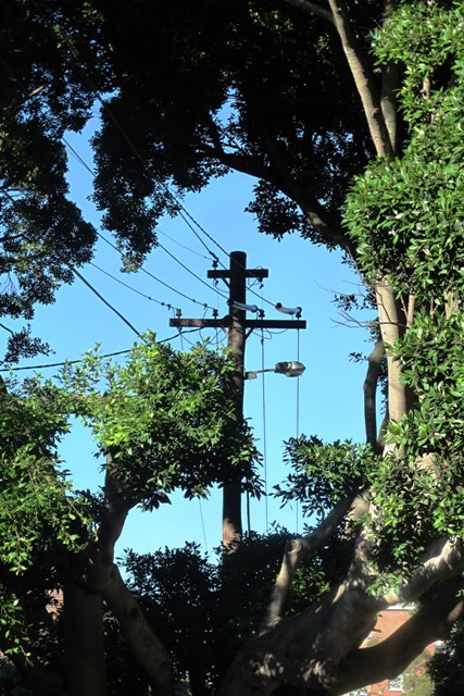 ???????????????????????????????