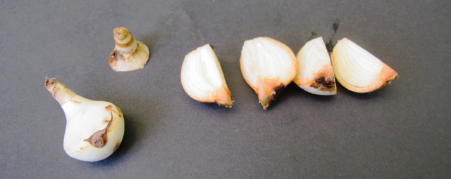 ???????????????????????????????