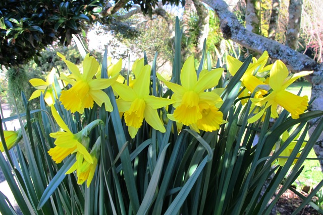 ???????????????????????????????