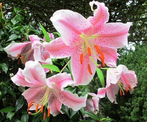 ???????????????????????????????