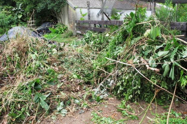 I have removed a prodigious amount of material - to the left for compost, to the right to be chipped and then composted 