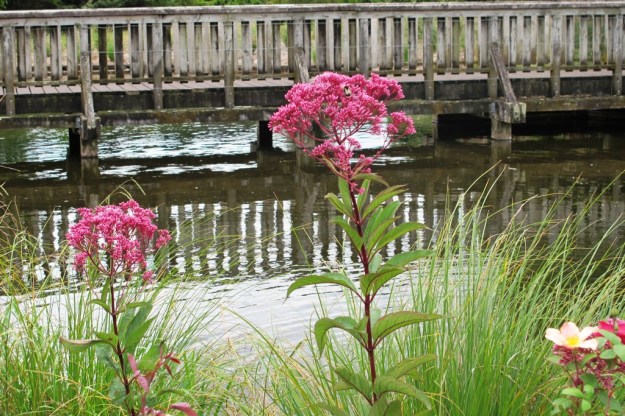 ???????????????????????????????