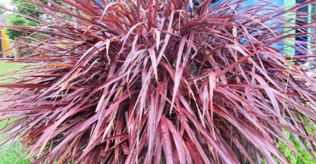 ???????????????????????????????