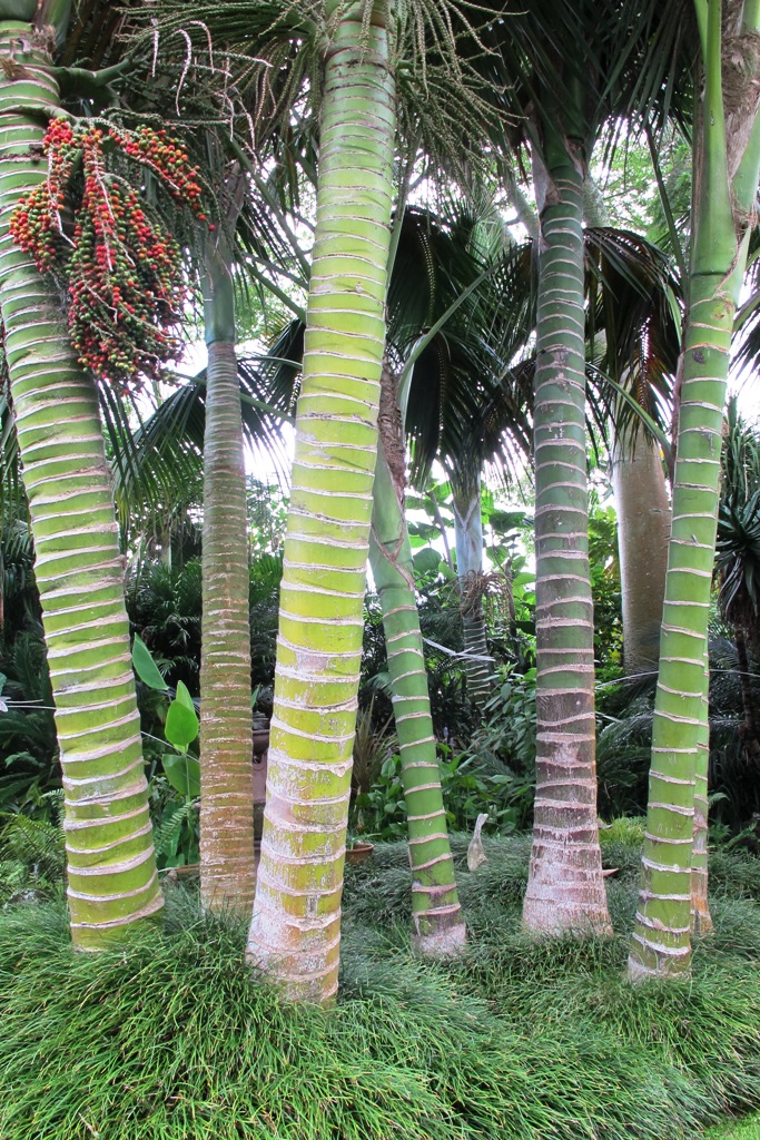 ???????????????????????????????