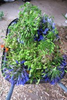 ???????????????????????????????