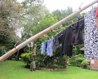 ???????????????????????????????