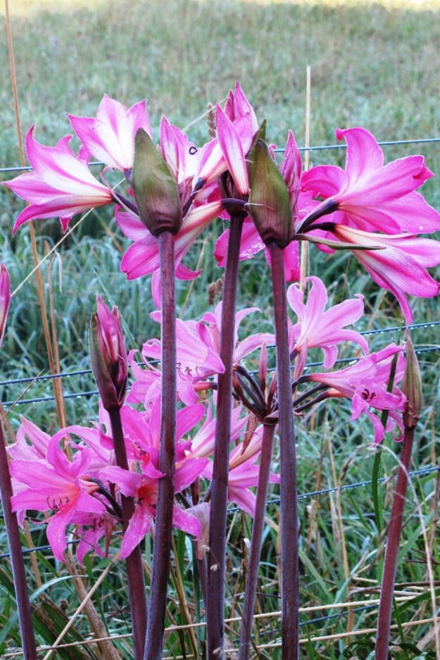 ???????????????????????????????