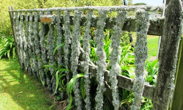 ???????????????????????????????