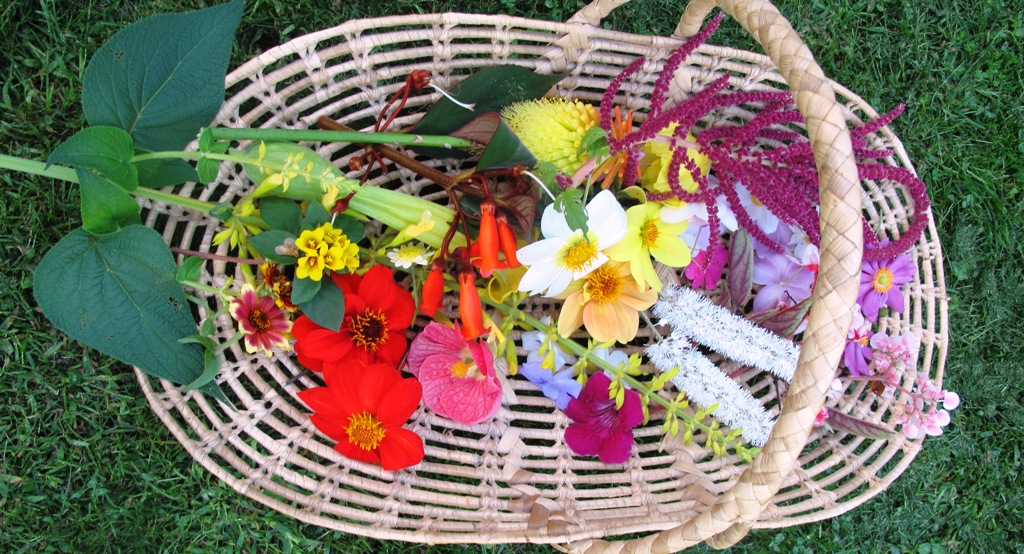 ???????????????????????????????