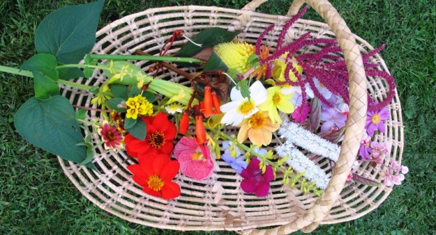 ???????????????????????????????