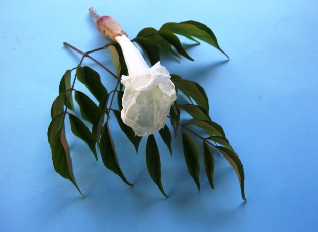 ???????????????????????????????