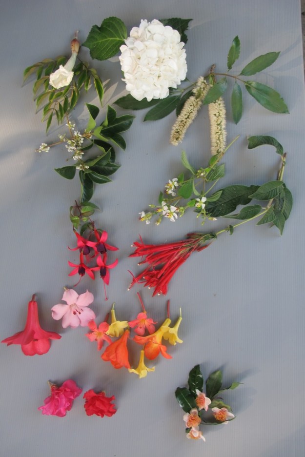 ???????????????????????????????