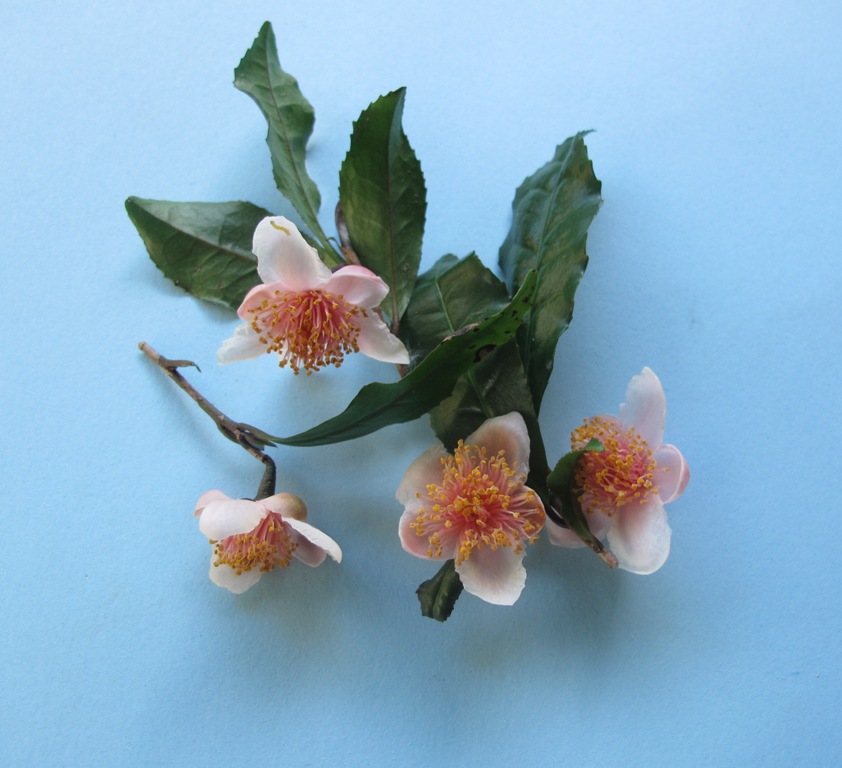 ???????????????????????????????