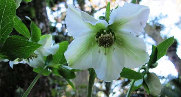 ???????????????????????????????