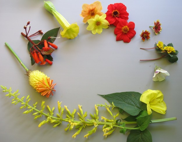 ???????????????????????????????