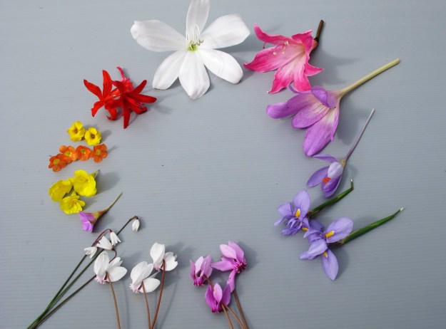 ???????????????????????????????