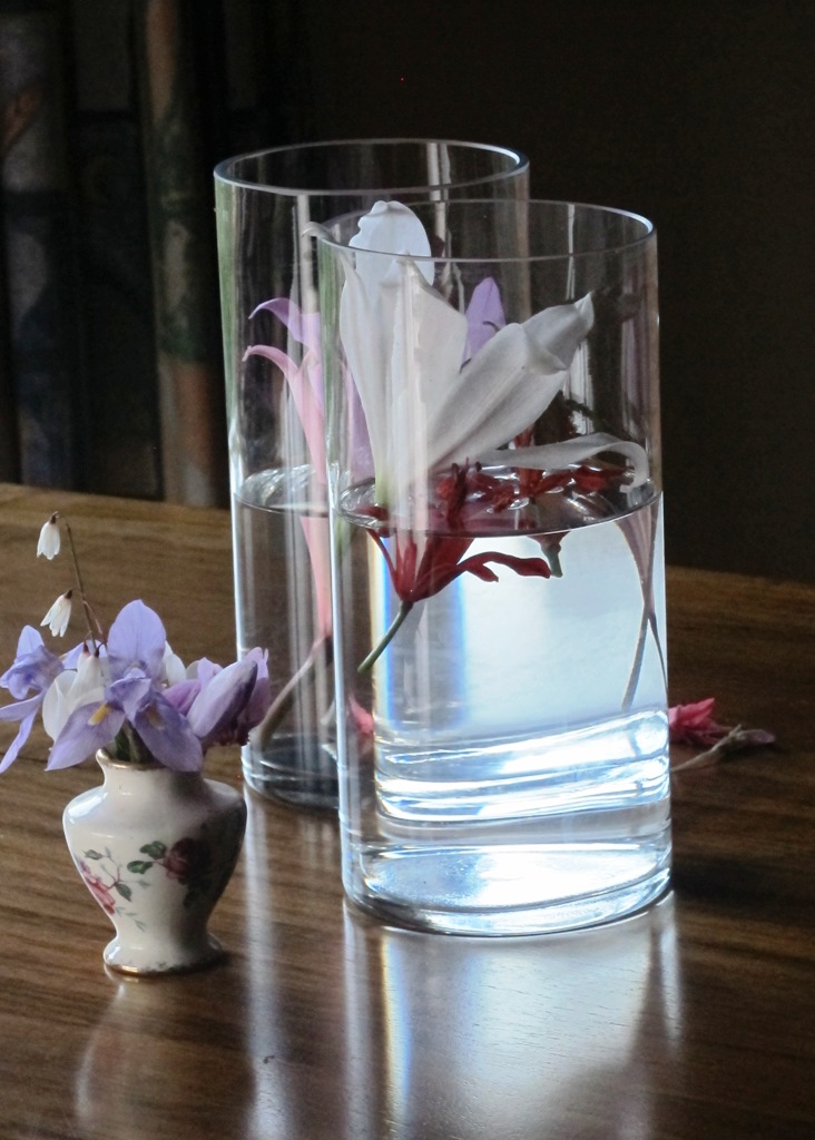 ???????????????????????????????