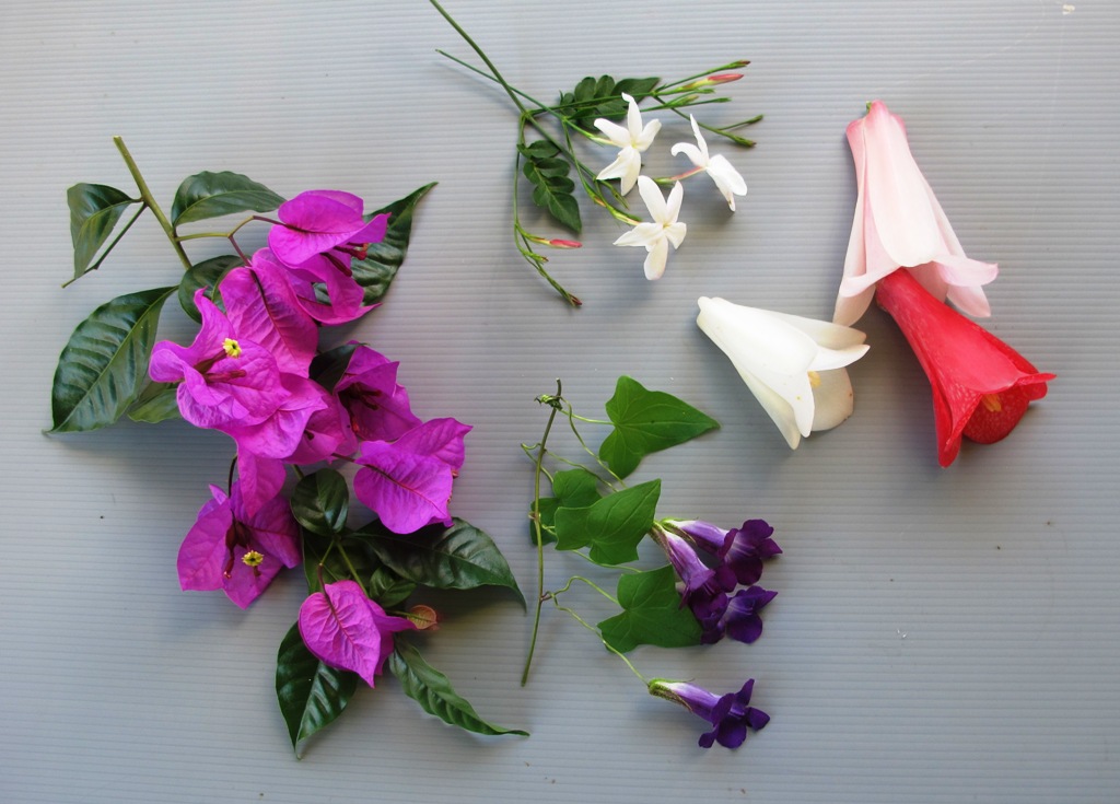 ???????????????????????????????