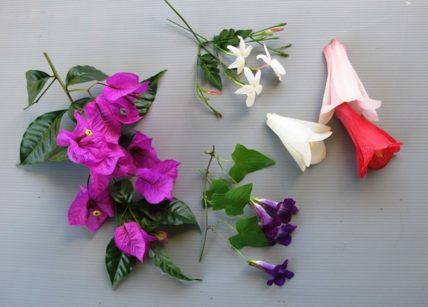 ???????????????????????????????