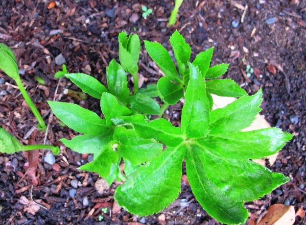 ???????????????????????????????