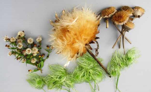 ???????????????????????????????