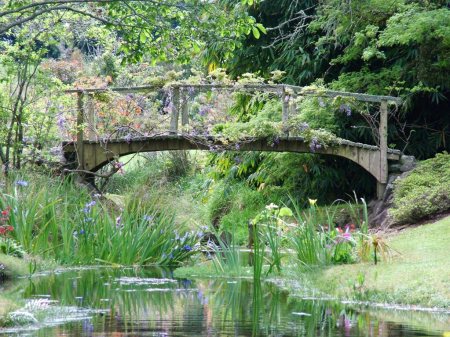 Our own bridge, pre- Monet-ising 