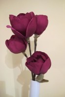 Anybody can raise seedlings of Black Tulip but are they then all worth naming? We think not. 