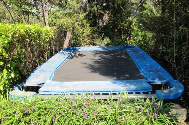 Attempting to hide the trampoline in a more aesthetically pleasing manner is more likely to ensure that it won't be used much. The spiky stumps on the hard trimmed hedge to the left looked downright dangerous to me. 