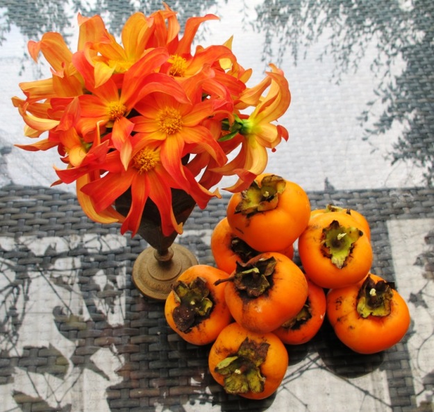 Persimmons with Dahlia Orchid. How could I resist? 