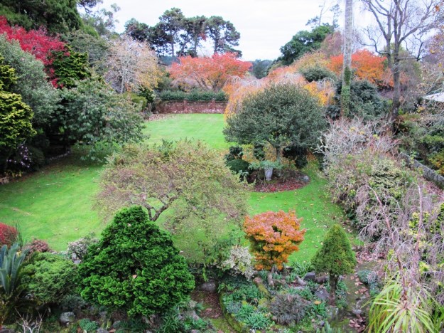 We have extensive areas of grass but have already decided that the front lawn should remain mown lawn rather than mixed meadow