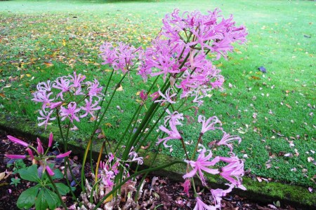 And a month later on June 11 