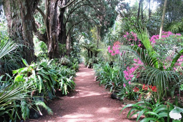 Shade gardens we have a-plenty 