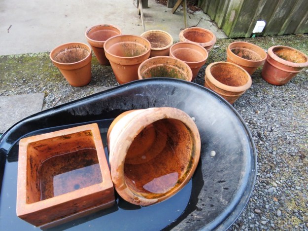 I carefully scrubbed off the carefully cultivated patina of moss and lichen for the new owner 