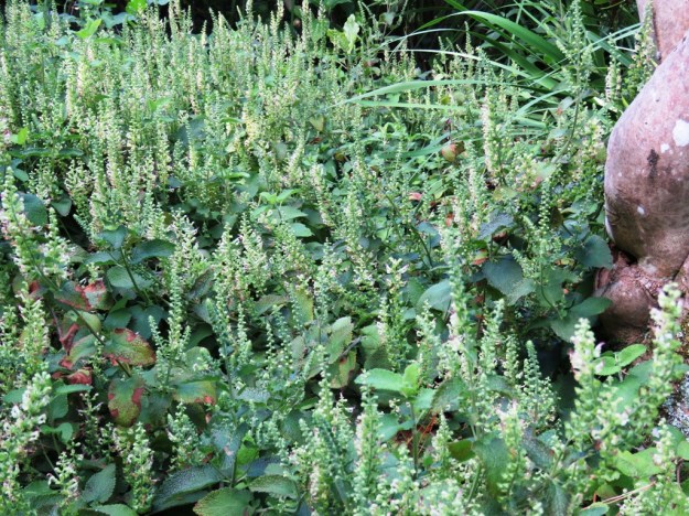 In reality, it is even more insignificant than in this photo 