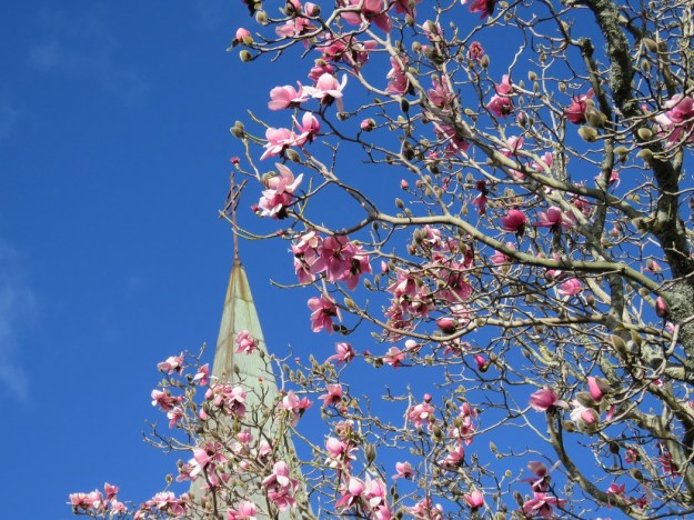 Quaker Mason by the Anglican church in our local town 
