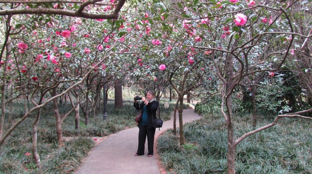 Yours truly in the Kunming Botanic Gardens (photo: Tony Barnes) 