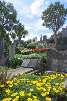 Looking left, the hanging gardens of New Plymouth 