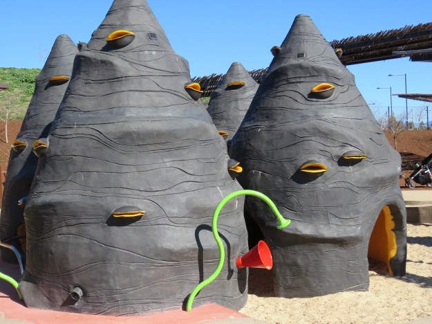 Banksia pods in the children's playground at the arboretum 
