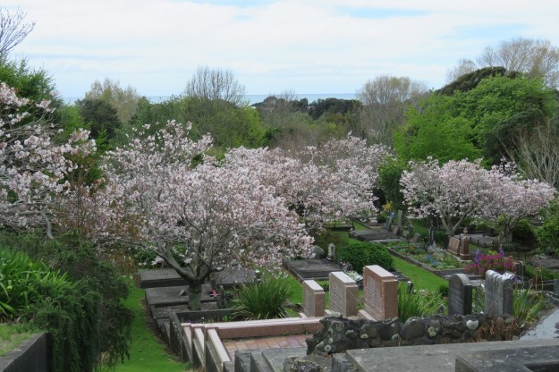 This pretty scene will be at risk if the witches' broom is not dealt with 