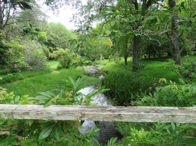 The new meadow look in our park - long grass and mown paths 