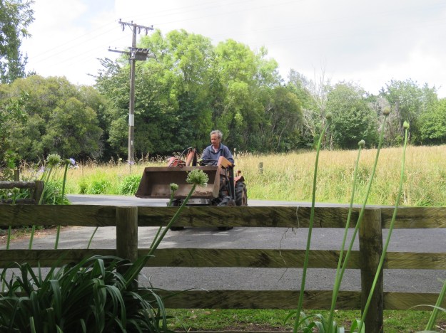 Not exactly circling the wagons - just Mark on our incredibly useful and long lived baby tractor. 