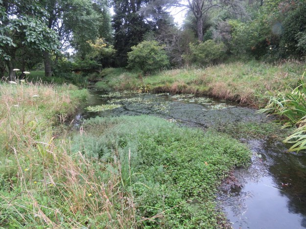 We have lowered the water level to enable major weed removal over the next week or two 
